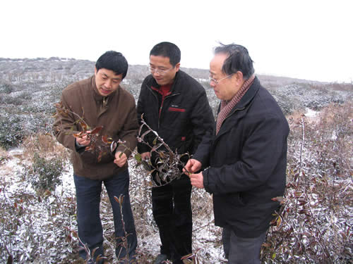 魯副所長(左)在大嵐鎮(zhèn)察看災(zāi)情